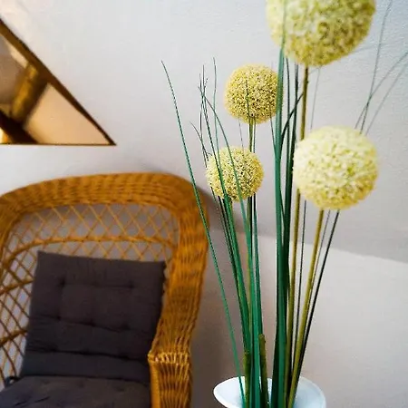 Traumwohnung Jolly Jumper Auf Idyllischem Reiterhof Naehe Burg Eltz