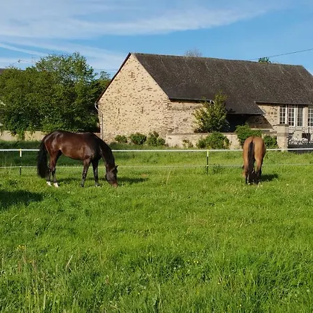 Apartment Traumwohnung Jolly Jumper Auf Idyllischem Reiterhof Nähe Burg Eltz *