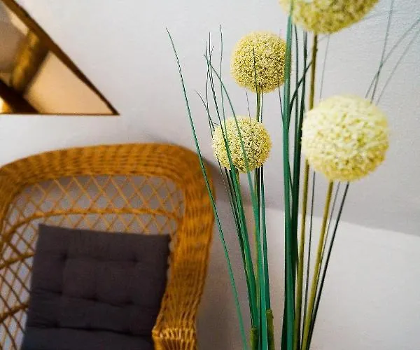 Traumwohnung Jolly Jumper Auf Idyllischem Reiterhof Naehe Burg Eltz