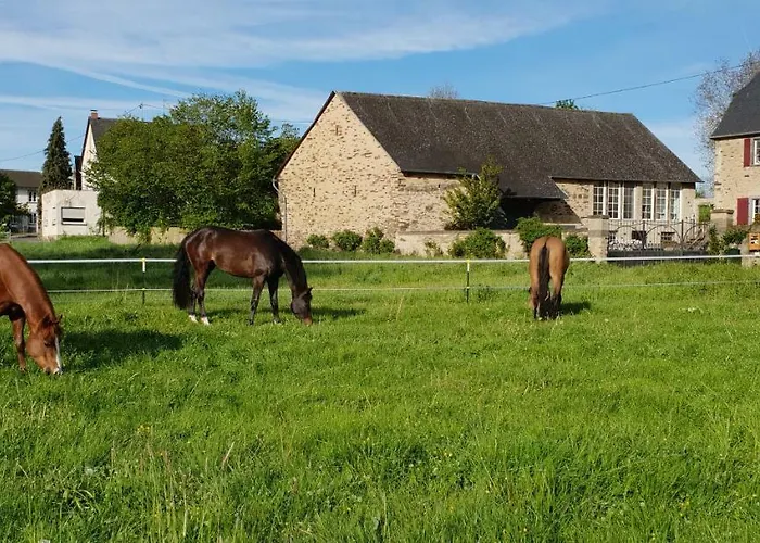 Lägenhet Traumwohnung Jolly Jumper Auf Idyllischem Reiterhof Naehe Burg Eltz *