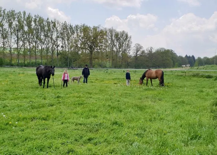 Lägenhet Traumwohnung Jolly Jumper Auf Idyllischem Reiterhof Naehe Burg Eltz Münstermaifeld